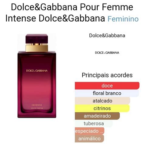 qual o melhor perfume dolce gabbana feminino